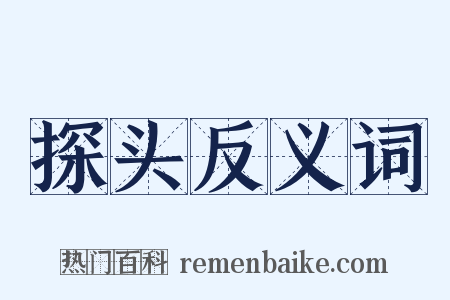 探头反义词是什么意思的图片